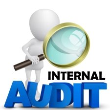 audit internal