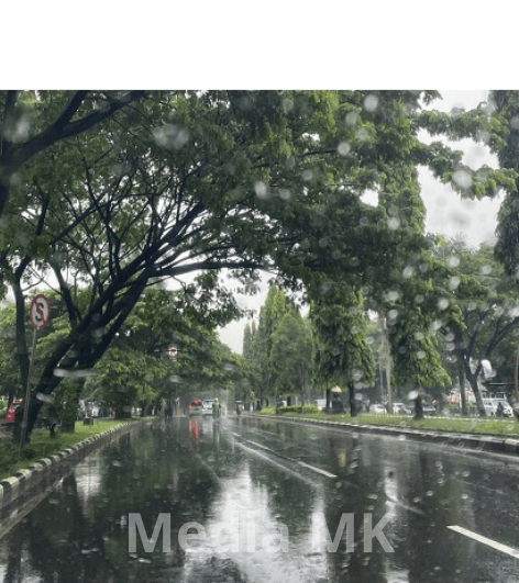 Info Cuaca Bogor 20 Februari 2026: Hujan Sejak Sahur, Warga Diminta Waspada