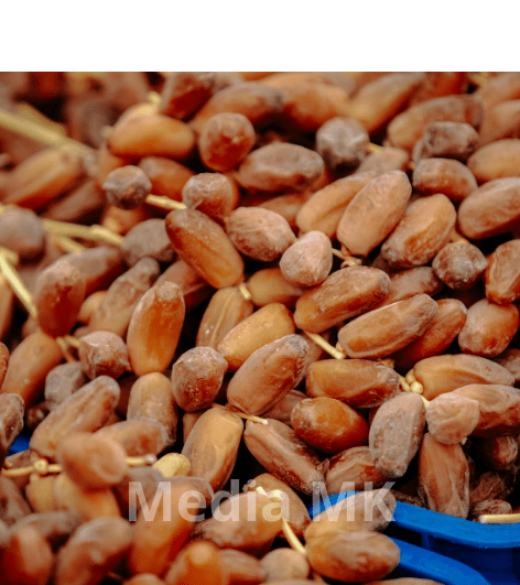 Kandungan Nutrisi dalam Kurma yang Bikin Tubuh Lebih Bertenaga Saat Berpuasa