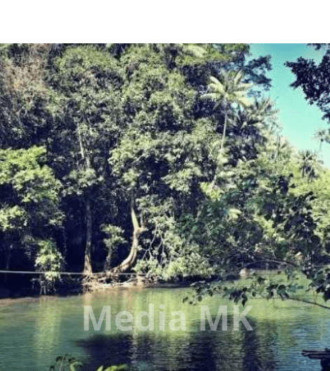 Sejarah dan Keindahan Alam Sancang Garut yang Menjadi Kawasan Konservasi