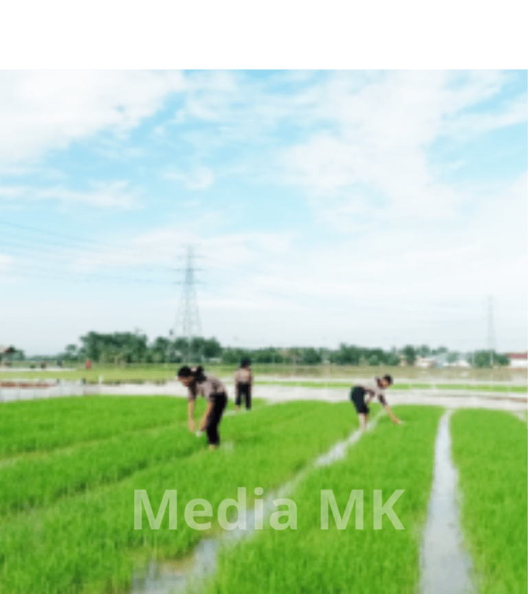 Kampung Inovasi IPB Subang Siap Jadi Model Kawasan Pertanian Terpadu Modern