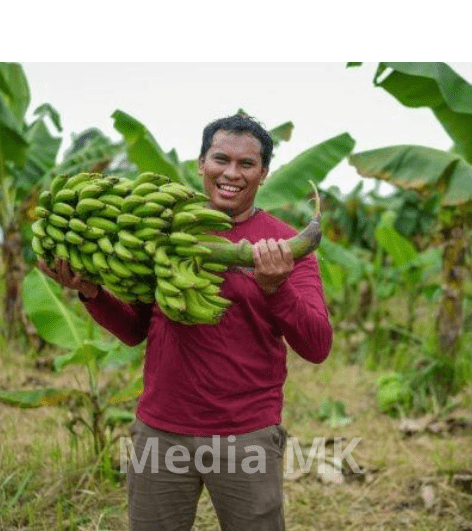 Muda dan Sukses! Inovasi Pemuda Subang Bangun Agrowisata Cerdas Berbasis Teknologi