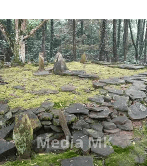 Menelusuri Situs Megalitik Arca Domas di Tenjolaya Bogor