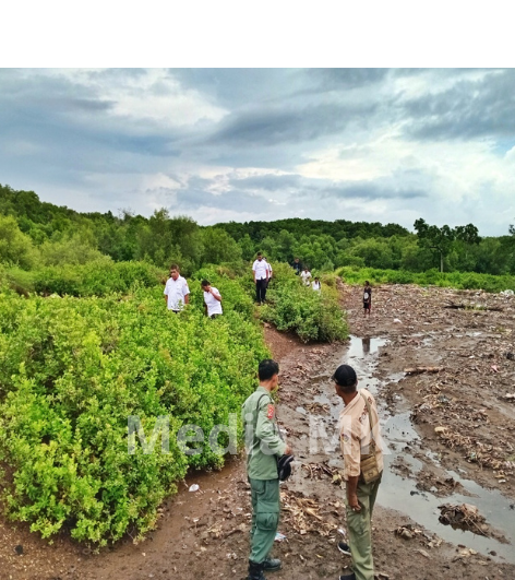 Nasib Hutan Mangrove Maumere di Tengah Ekspansi Tambak Pesisir