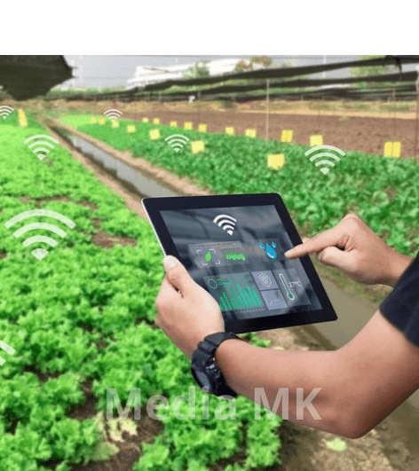 Ribuan Petani, Peternak, dan Nelayan Manfaatkan Konsultasi Daring Bersama Ahli IPB University