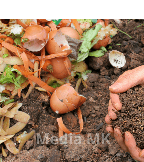 Cara Mudah Mengolah Sampah Organik Jadi Nutrisi Tanaman