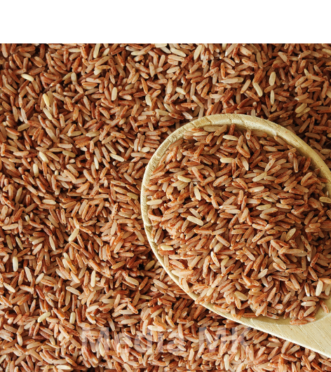 Beras Merah: Kandungan Nutrisi dan Manfaatnya untuk Tubuh Sehari-hari