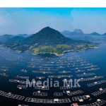Peran Ekosistem Waduk Jatiluhur dalam Menjaga Ketahanan Air dan Lingkungan