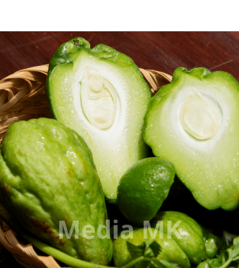 Benarkah Labu Siam Bisa Menurunkan Darah Tinggi?