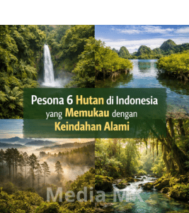 Pesona 6 Hutan di Indonesia yang Memukau dengan Keindahan Alami