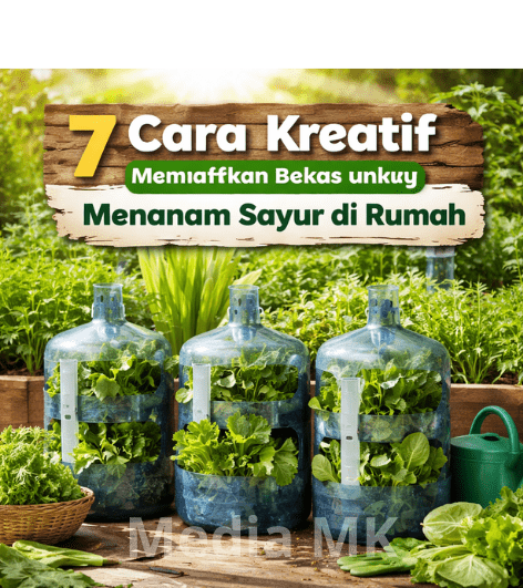 7 Cara Kreatif Memanfaatkan Galon Bekas untuk Menanam Sayur di Rumah