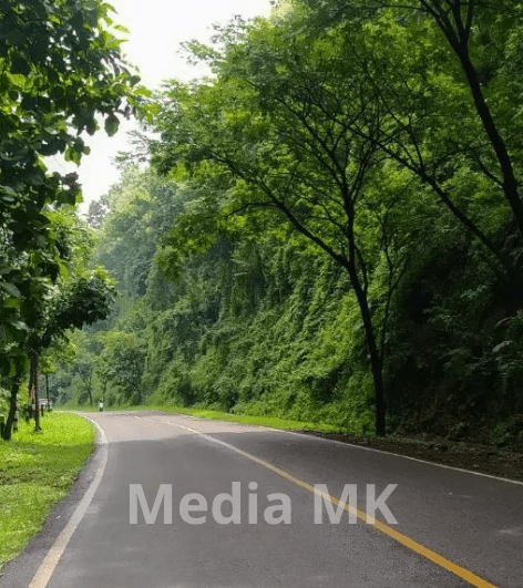 Alas Roban, Dari Jalur Ekstrem hingga Kisah Mistis yang Melekat