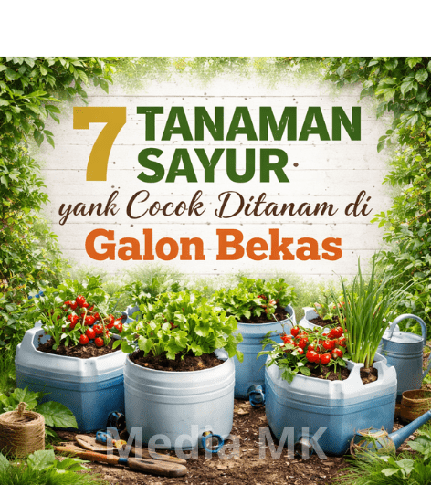 7 Tanaman Sayur yang Cocok Ditanam di Galon Bekas