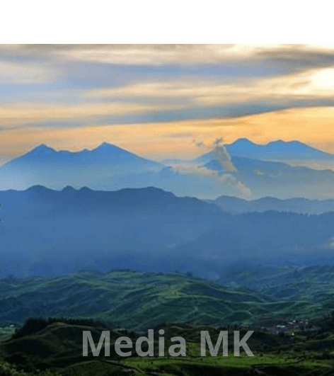 Mengenal Hutan Gunung Halimun Salak, Kawasan Konservasi dengan Keindahan Alam yang Alami