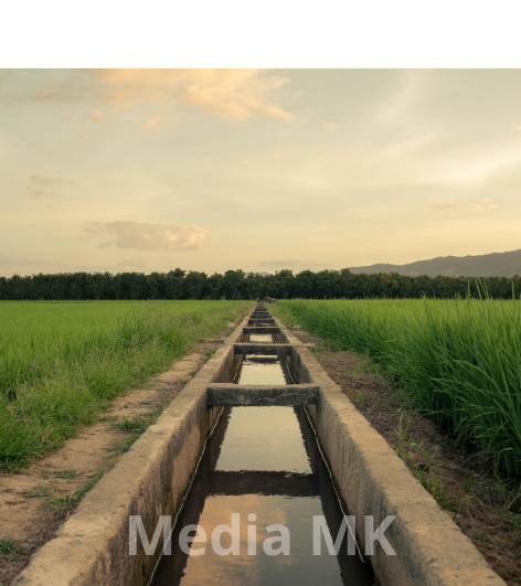 Saluran Irigasi untuk Sawah: Cara Efektif Menjaga Air Tetap Stabil Sepanjang Musim