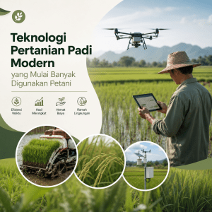 Teknologi Pertanian Padi Modern yang Mulai Banyak Digunakan Petani
