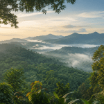 Daftar 7 Hutan Lindung Indonesia yang Menjadi Benteng Ekosistem dan Keanekaragaman Hayati