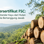 Kayu Bersertifikat FSC: Mengenal Standar Kayu dari Hutan yang Dikelola Bertanggung Jawab