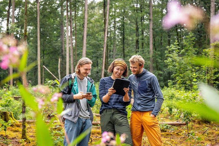 Green Economy Buka Peluang Karier, 5 Skill yang Perlu Disiapkan Gen Z